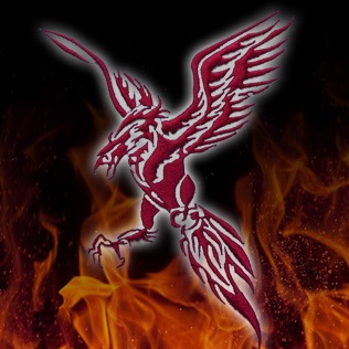 炎（ファイアー）刺繍 F-5